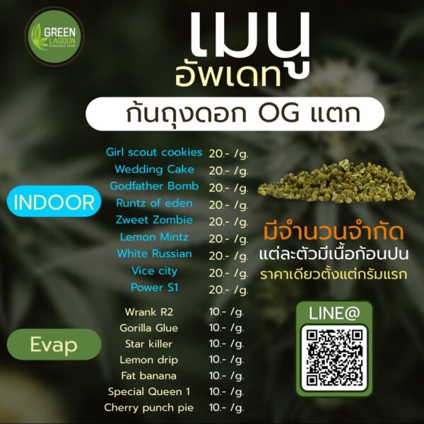 ดอกก้นถุง (indoor-EVAP)