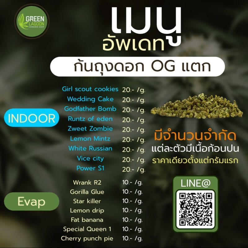 ดอกก้นถุง (indoor-EVAP)