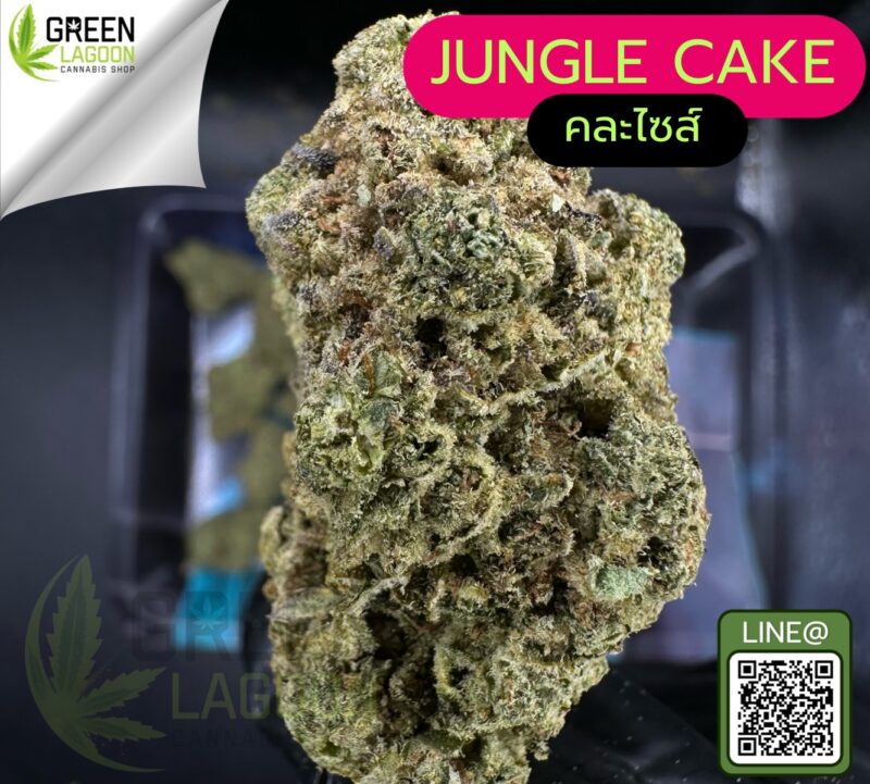 jungle cake