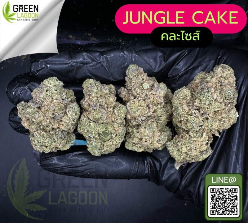 jungle cake