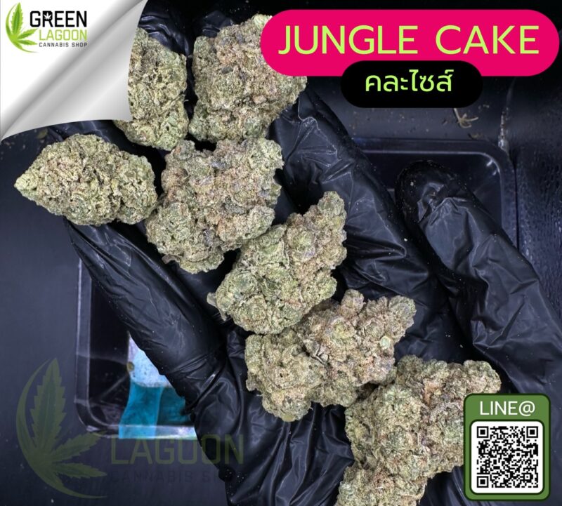 jungle cake