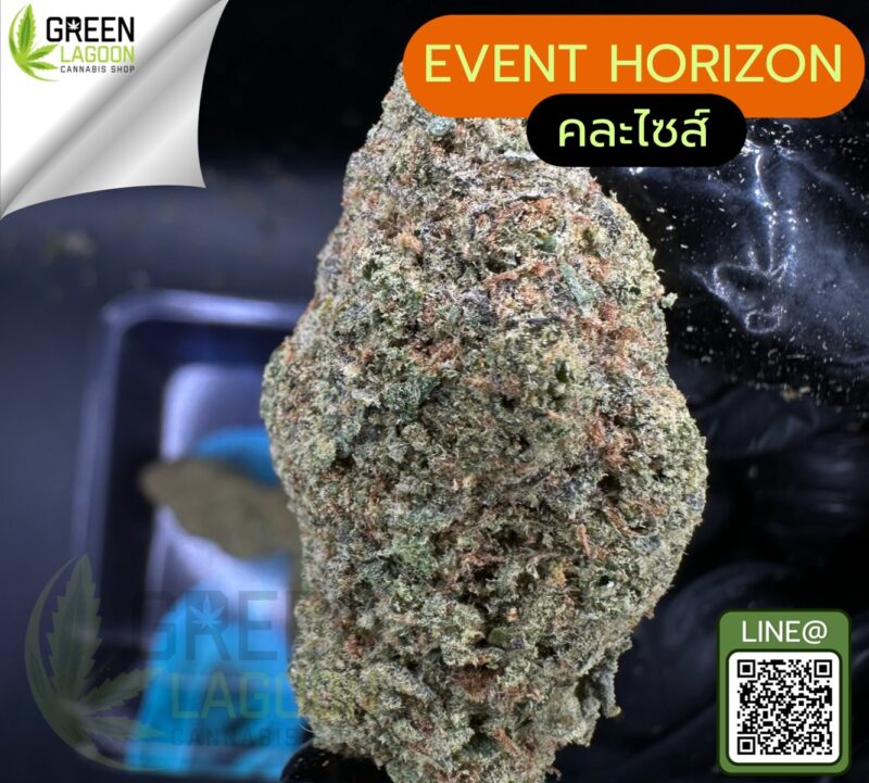 Event horizon