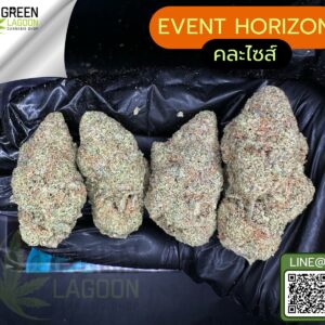 Event horizon