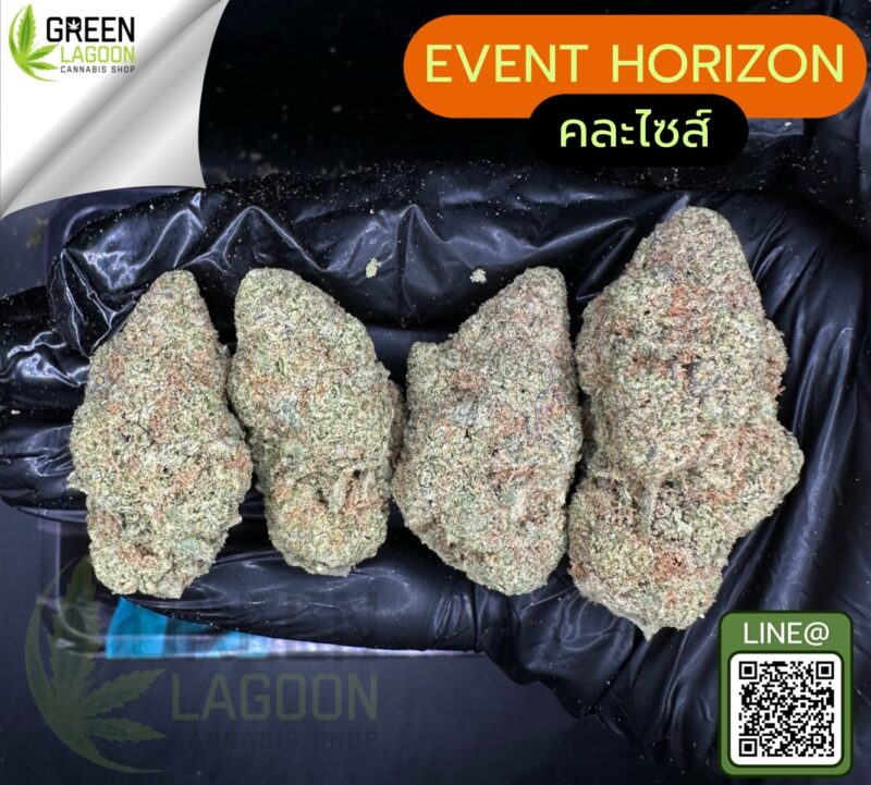 Event horizon