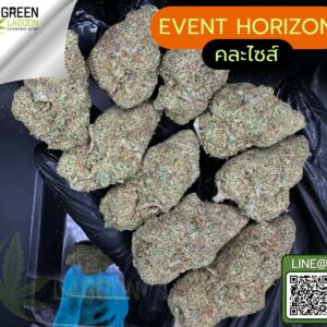 Event horizon