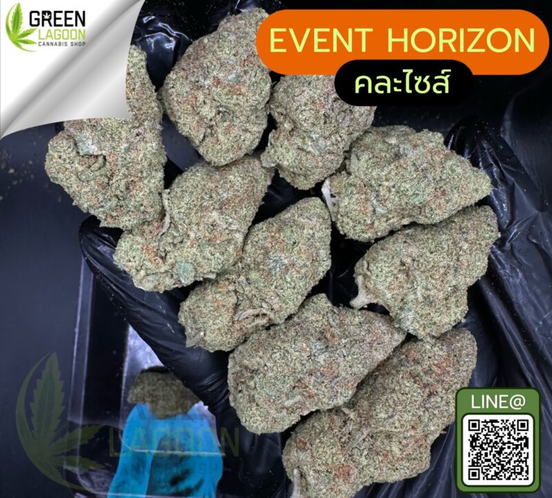Event horizon