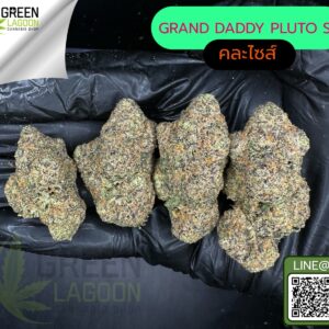 Grand daddy pluto S1