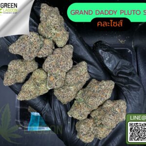 Grand daddy pluto S1