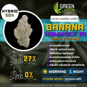 Banana hammock R1