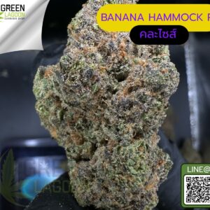 Banana hammock R1