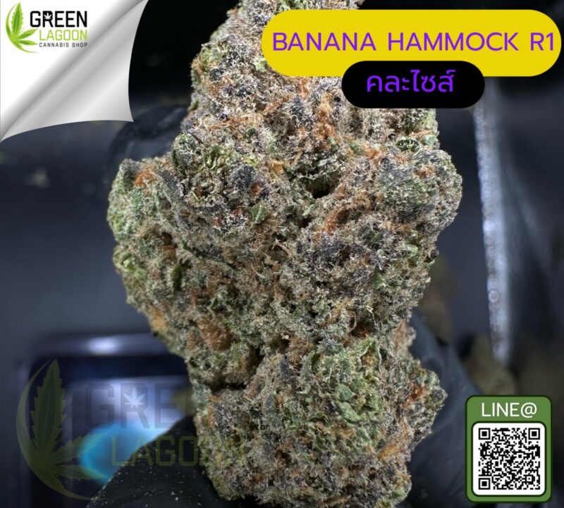 Banana hammock R1