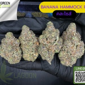 Banana hammock R1