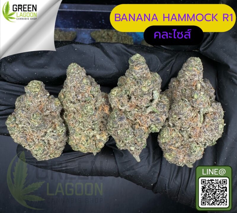Banana hammock R1