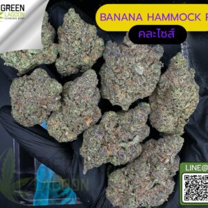 Banana hammock R1