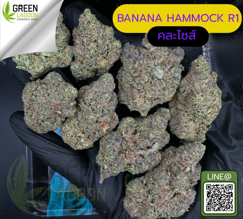 Banana hammock R1