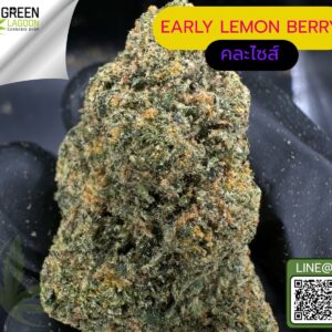 Early lemon berry