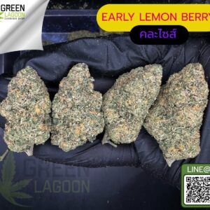 Early lemon berry