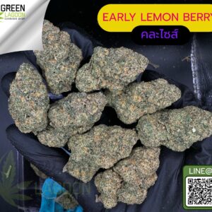 Early lemon berry
