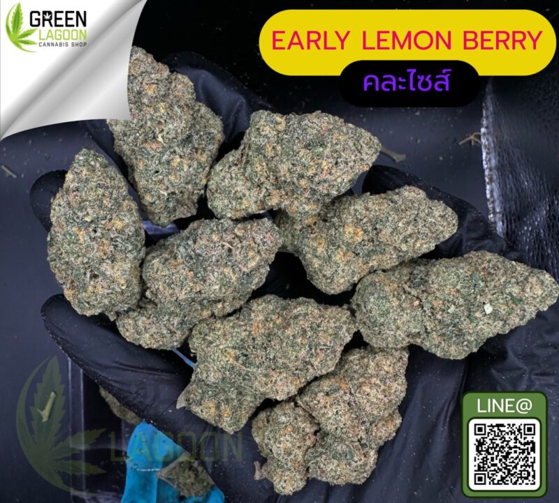Early lemon berry