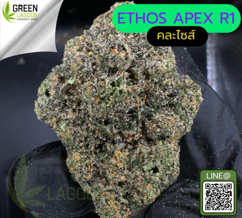 Ethos apex R1