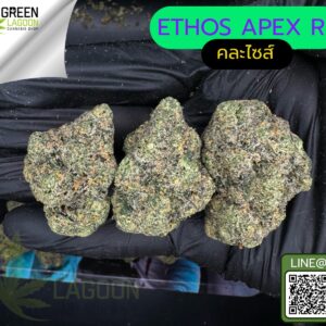 Ethos apex R1