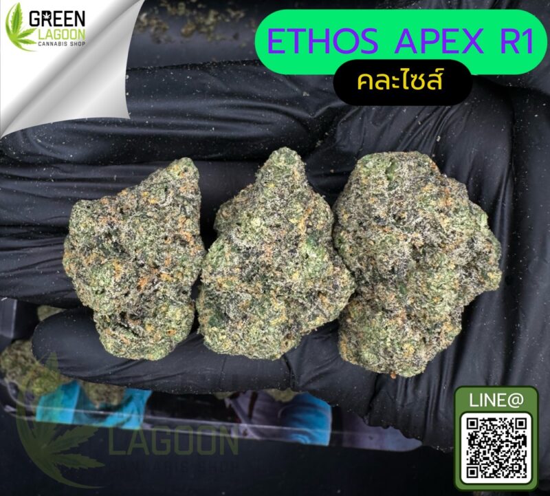 Ethos apex R1