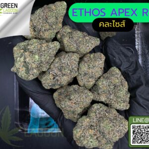 Ethos apex R1