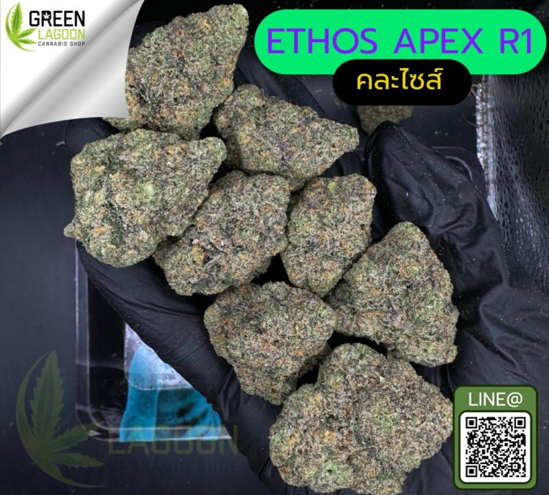 Ethos apex R1