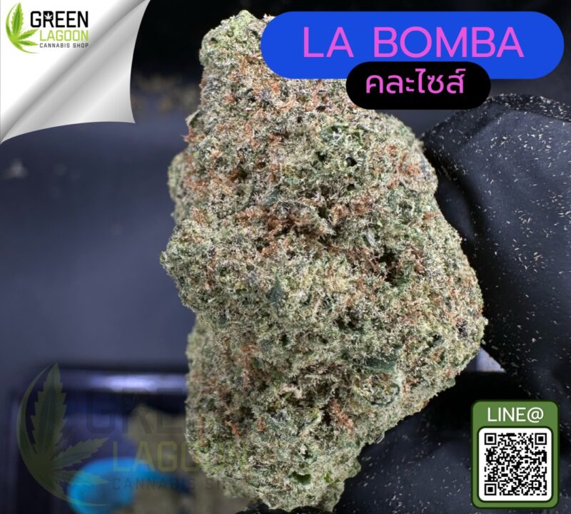 La bomba