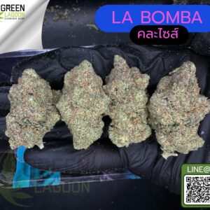 La bomba