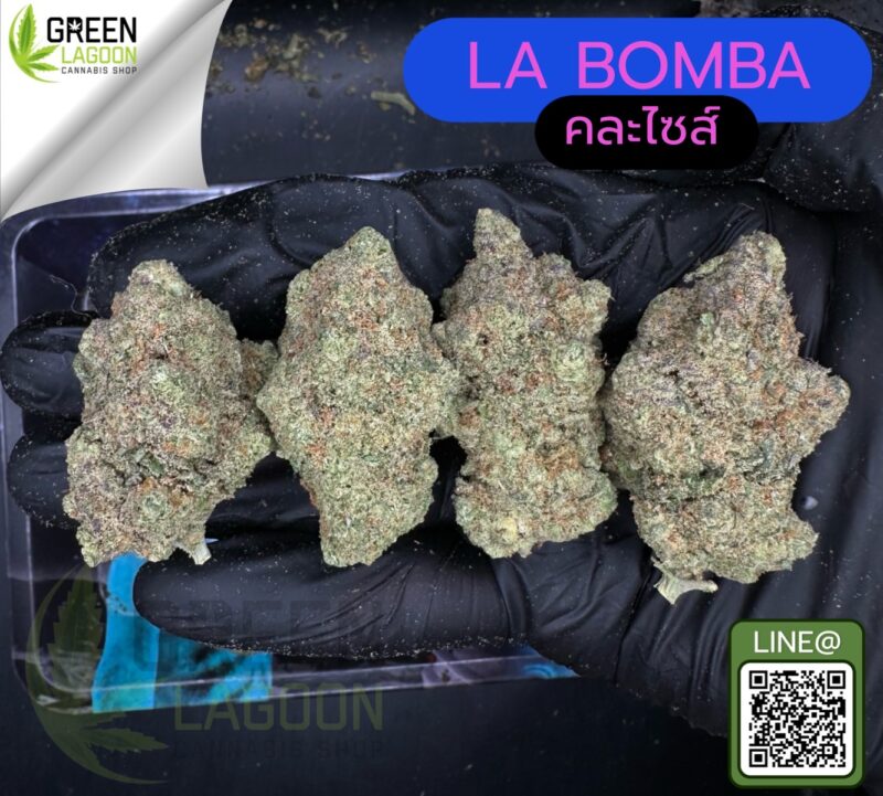 La bomba
