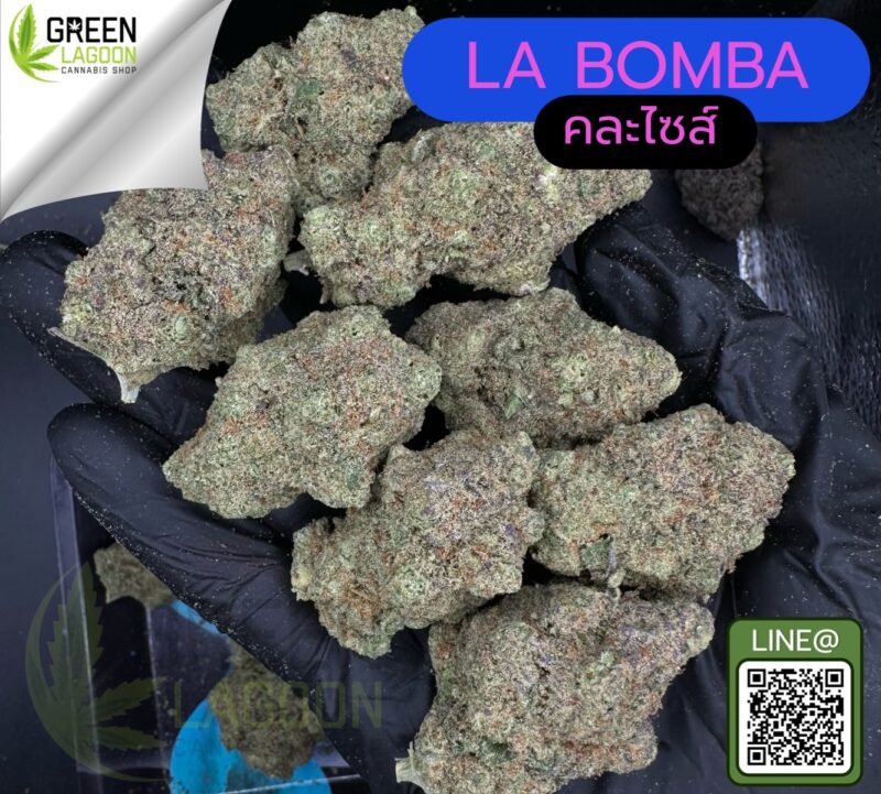 La bomba
