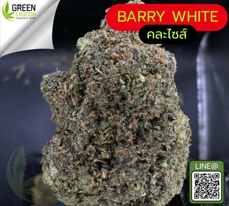 Barry white