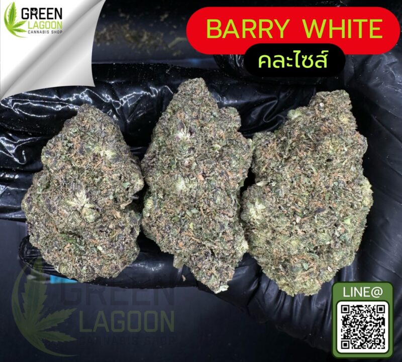 Barry white