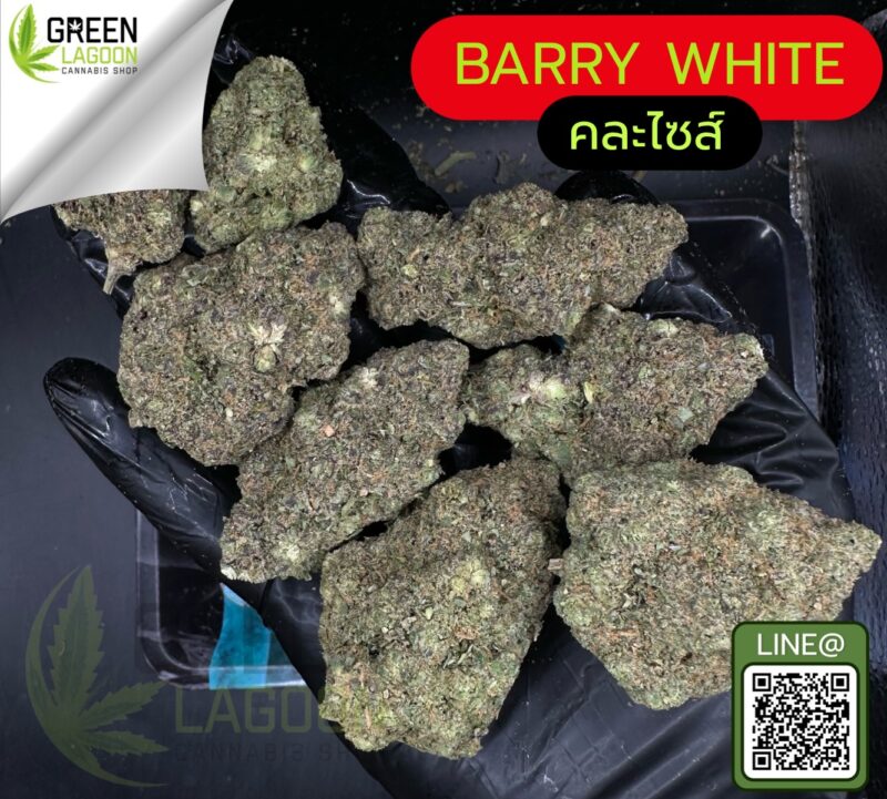 Barry white