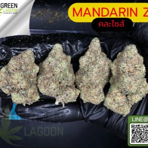 Mandarin Z