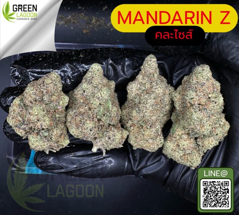Mandarin Z