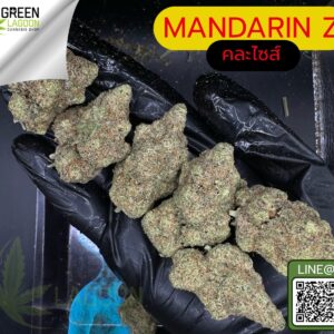 Mandarin Z