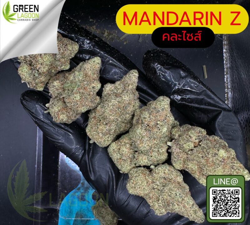 Mandarin Z