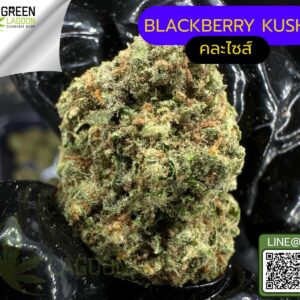 Blackberry kush