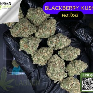 Blackberry kush