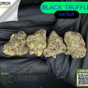 Black truffle