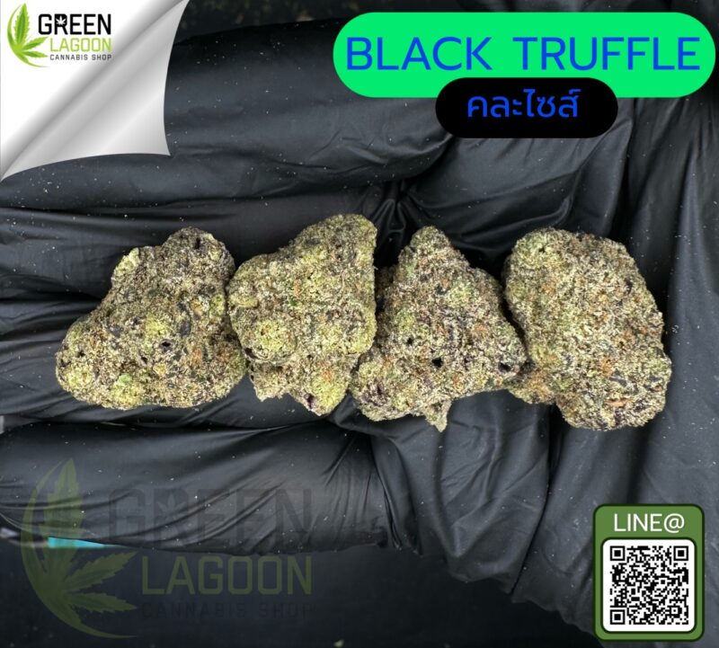 Black truffle