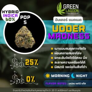 Udder madness