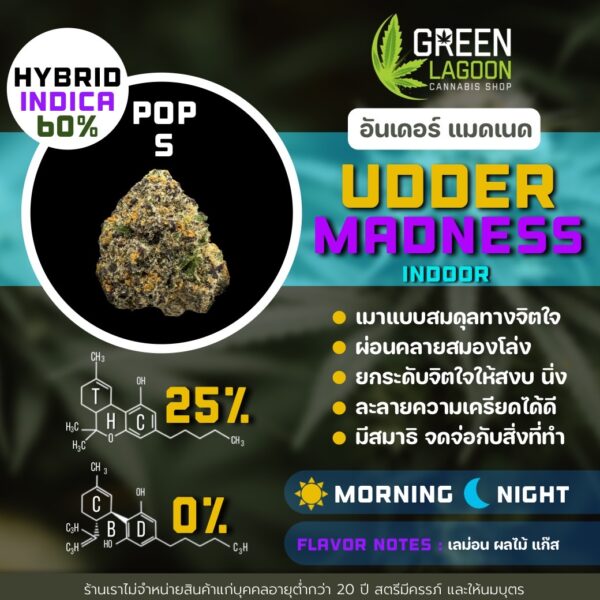 Udder madness