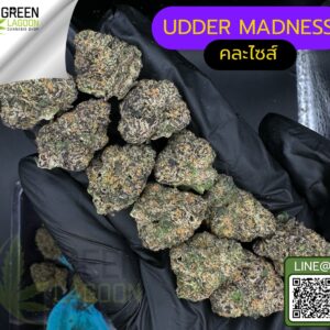 Udder madness