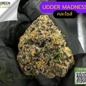 Udder madness