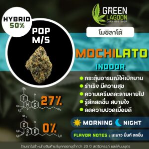 Mochilato