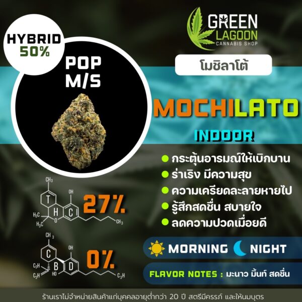 Mochilato