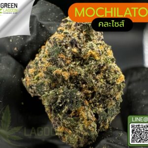 Mochilato